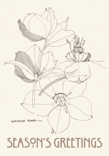 Charles Rennie Mackintosh 'Chrismas Rose' card.