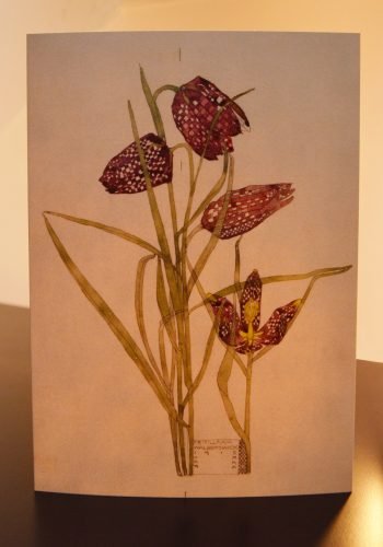 Charles Rennie Mackintosh - Fritillaria