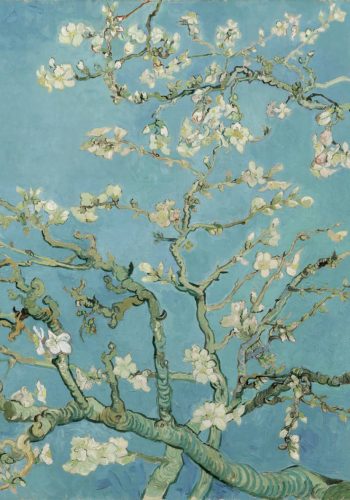 Almond Blossoms - Vincent van Gogh