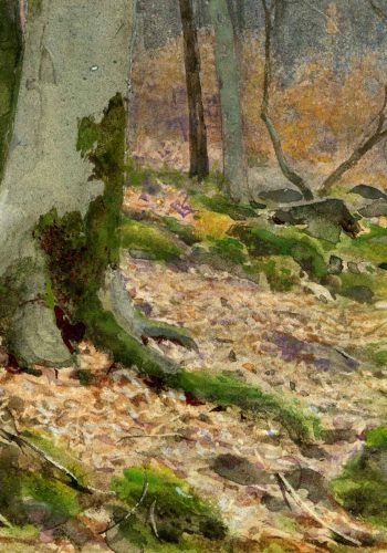 November Evening in a Welsh Wood - detail