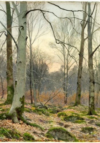 November Evening in a Welsh Wood