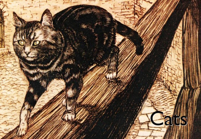Cats