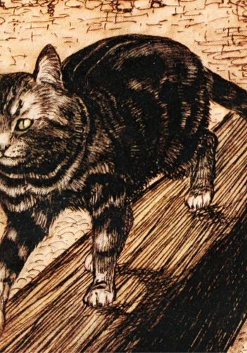 Detail: The cat stole away.