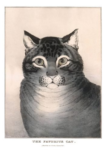 The Favorite Cat by Nathaniel Currier