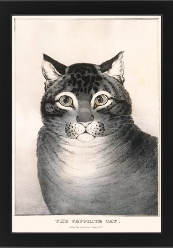 Framed: The Favorite Cat by Nathaniel Currier