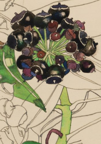 Detail: Ivy Seed. Charles Rennie Mackintosh.