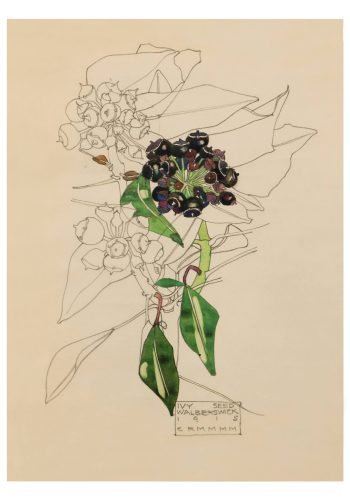 Ivy Seed. Charles Rennie Mackintosh.