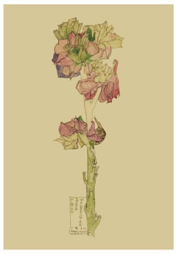 Winter Stock. Charles Rennie Mackintosh.