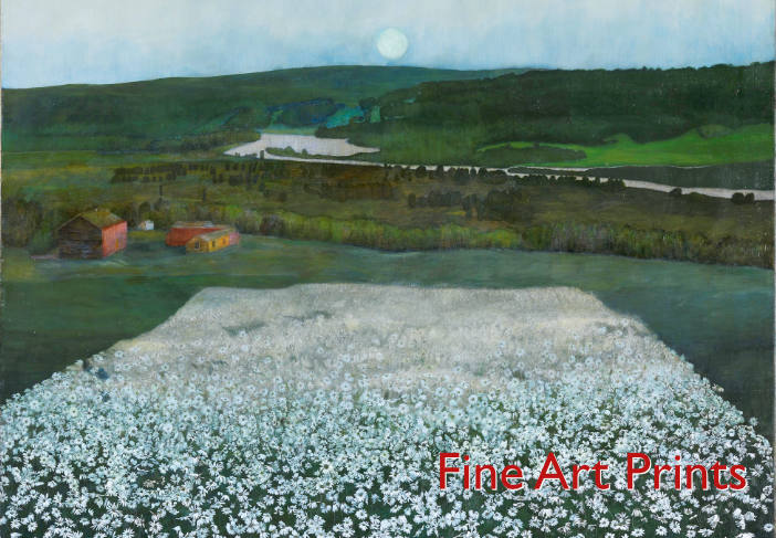 Fine Art Prints